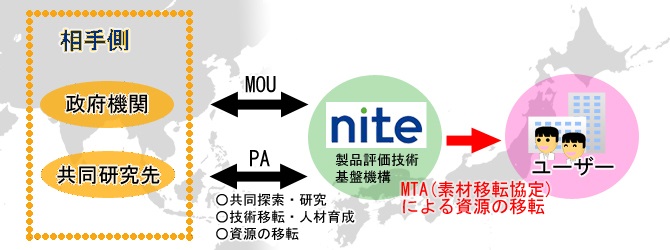 アジア諸国・地域との協力体制の構築図（NITE製品評価技術基盤機構は、アジア諸国の政府機關・共同研究先とMOUやPA（共同探索・研究、技術移転・人材育成、資源の移転）を締結し、ユーザーに対してMTA(素材移転協定)による資源の移転を行っています。）