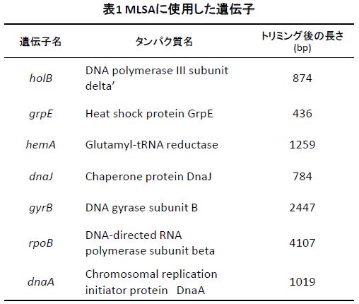 表1MLSAに使用した遺伝子