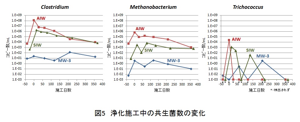 図5　浄化施工中の共生菌数の変化