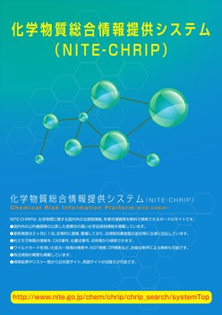 NITE-CHRIPパンフ表紙画像