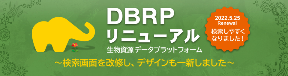 “生物资源数据平台（DBRP）”的运用开始～可一站式检索与微生物相关的各种信息～