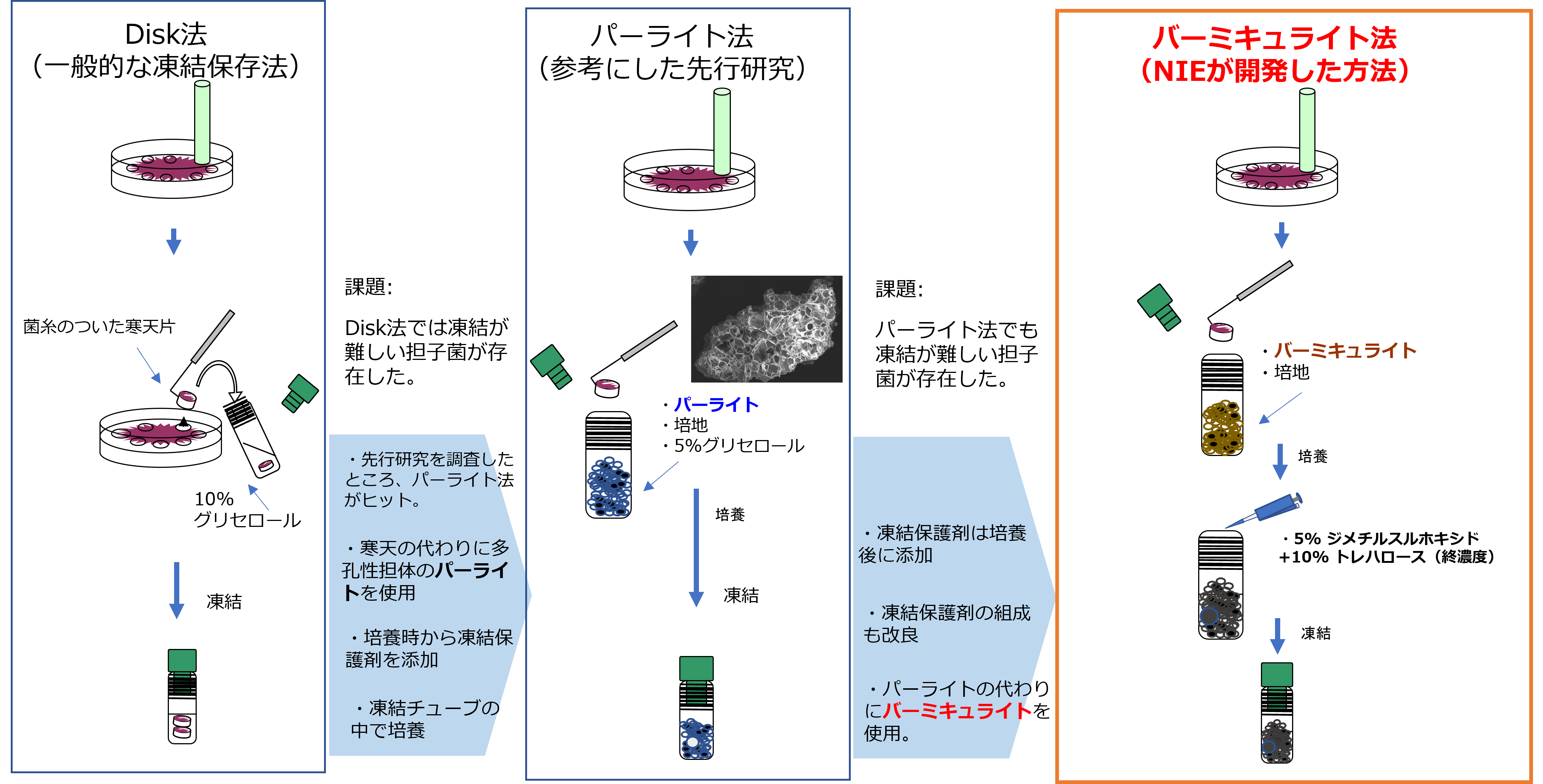 図5．担子菌培養株凍結保存法の開発工程の図説。