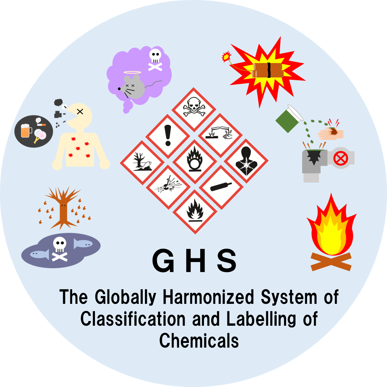 The Globally Hamonized System of Classification and Labelling of Chemicals