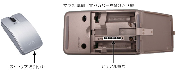 写真・図