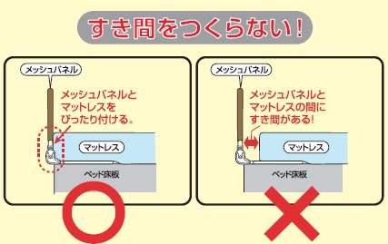 写真・図