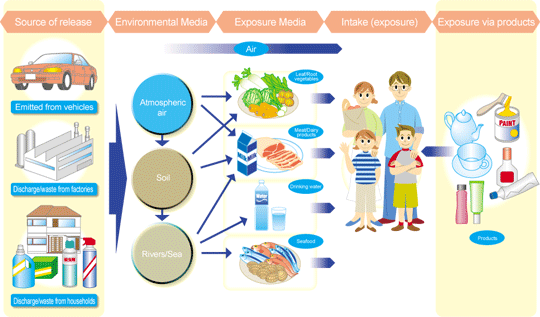 The illustration which explains EHE (Estimated Human Exposure)