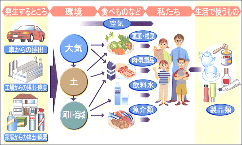 人への化学物質の暴露の経路を説明したイラスト