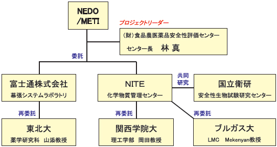 プロジェクトの実施体制