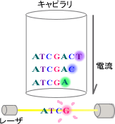 図２－４シーケンスのイメージ