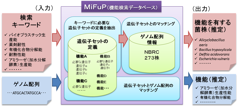 MiFuPワークフロー図