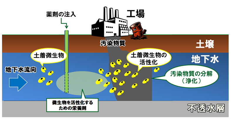 バイオレメディエーションとは？ | バイオテクノロジー | 製品評価技術