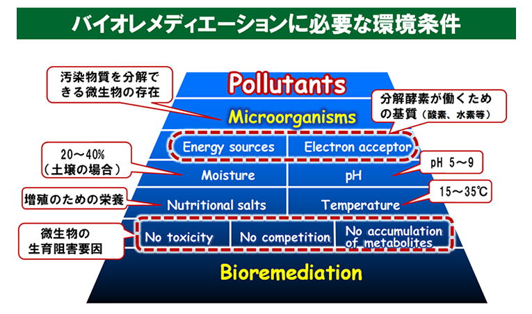 バイオレメディエーションとは？ | バイオテクノロジー | 製品評価技術
