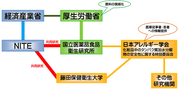 コムギ加水分解グルテンの解析の関係機関