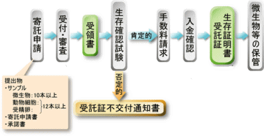 特許微生物寄託手続きのフロー /nbrc/npmd/images/how2depo_g2.gif