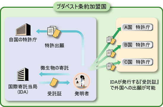 国際寄託制度の概要