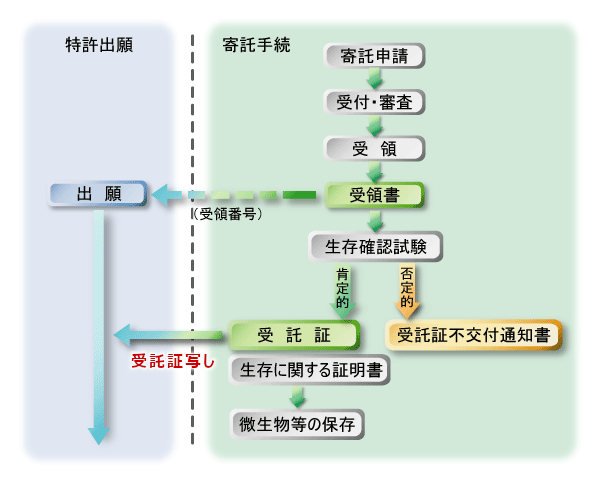 寄託手続き バイオテクノロジー 製品評価技術基盤機構