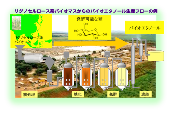 リグノセルロース系バイオマスの酵素糖化