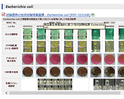 画像:日本薬局方特定微生物試験