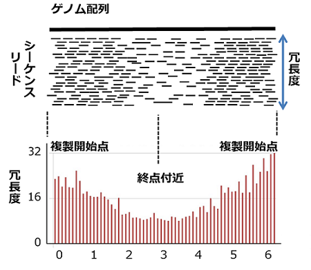 冗長度の概念図