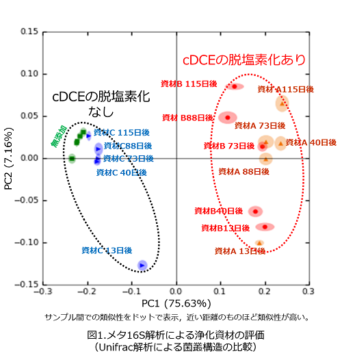 主座標解析(PCoA解析)の図