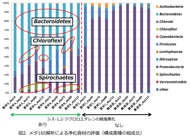 構成菌種の組成比