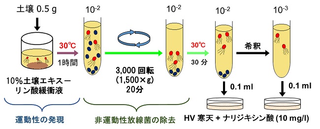 再水和-遠心沈殿法概略図