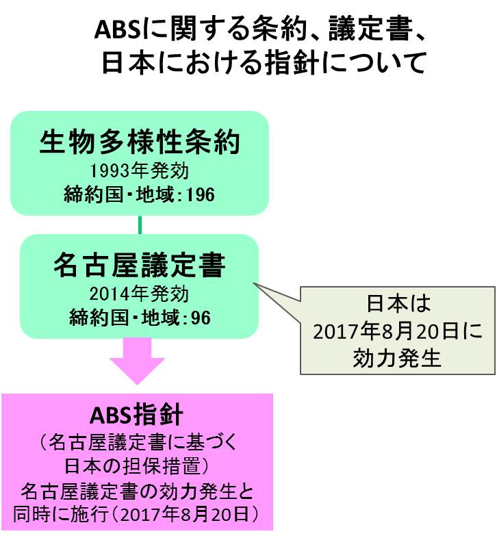 ABS関連図