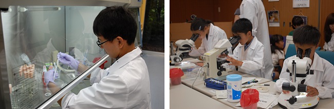 千葉県夢チャレンジ体験スクールで身近な微生物の観察や培養をしている写真