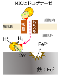 å³ï¼ãã¡ã¿ã³çæèã«ããéèé£æ©æ§