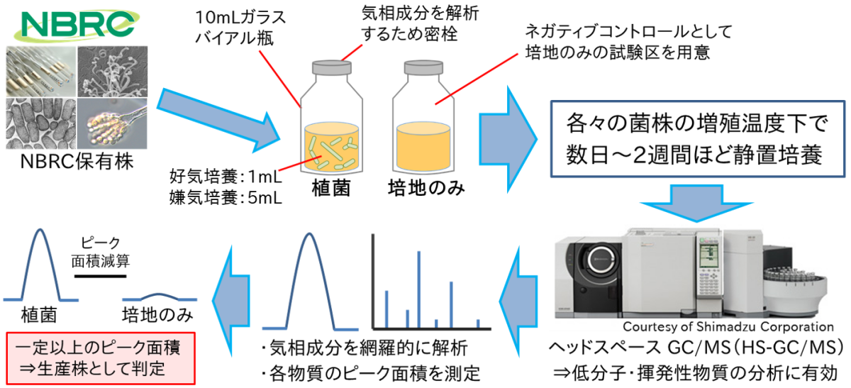 図１　HS-GC/MSを用いた分析手法の概要図