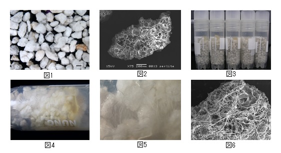 図　改良パーライト法