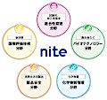 NITEの業務5分野
