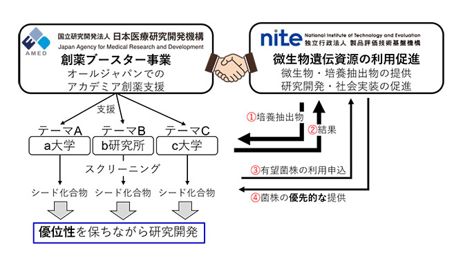 希少放線菌創薬連携プログラム図