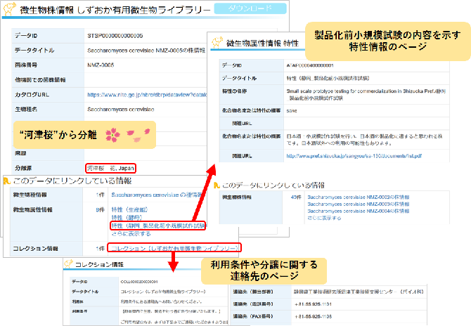 静岡県「しずおか有用微生物ライブラリー」登録データ画面
