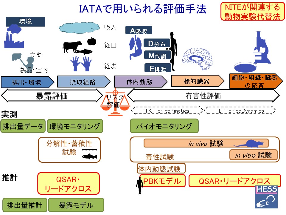 IATA（試験と評価に関する統合的アプローチ）の概念図です。NITEでは、IATAで用いられる動物実験代替法として、分解性・蓄積性試験に関するQSARやリードアクロス、人健康影響に関する有害性評価に関するQSARやリードアクロス、PBKモデルなどに取り組んでおります。