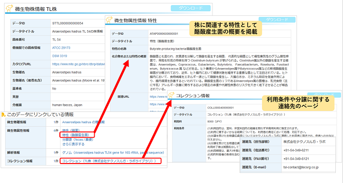 株式会社テクノスルガ・ラボの登録データ画面