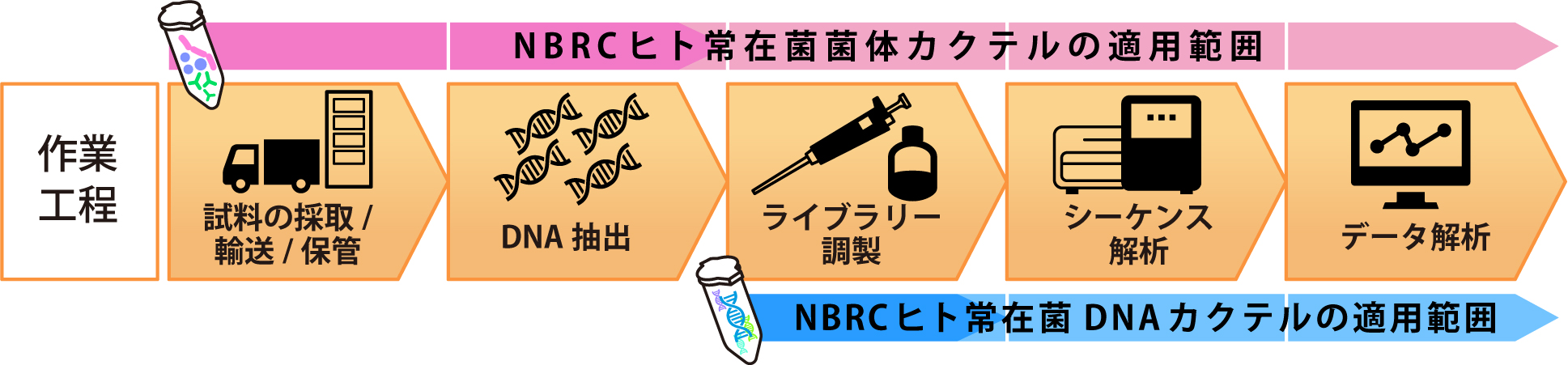 NBRCヒト常在菌菌体カクテルの適用範囲