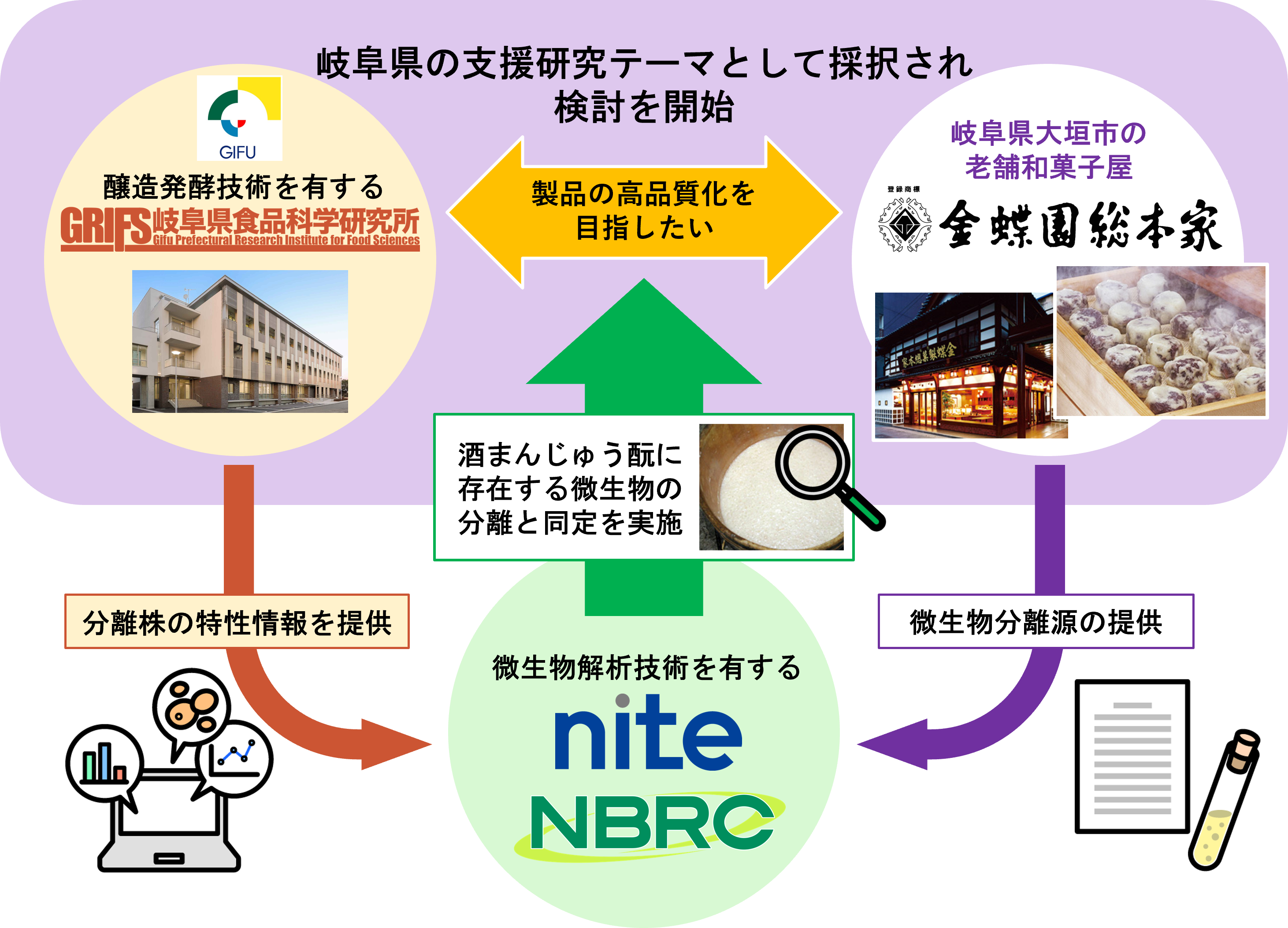 ナイト、岐阜県食品科学研究所、金蝶園総本家の役割分担を示した図