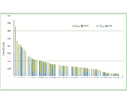 画像:共同事業藻類