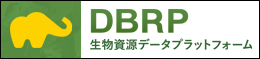 DBRP_banner