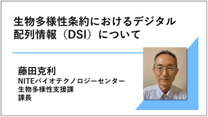 講演動画へのリンク画像 生物多様性条約におけるデジタル配列情報（DSI）について NITEバイオテクノロジーセンター 生物多様性支援課 課長 藤田克利