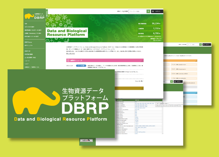 DBRPサイトイメージ図です