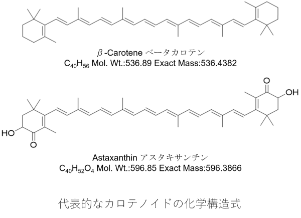 代表的なカロテノイドの化学構造式、β-Carotene ベータカロテン C40H56 Mol. Wt.:536.89 Exact Mass:536.4382、Astaxanthin アスタキサンチン C40H52O4 Mol. Wt.:596.85 Exact Mass:596.3866
