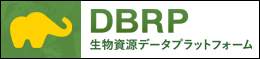 DBRPのバナー