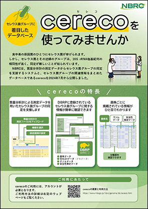 cerecoを使ってみませんかチラシの画像です。