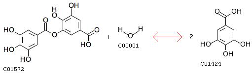 Digallate + H2O <=> 2 Gallate