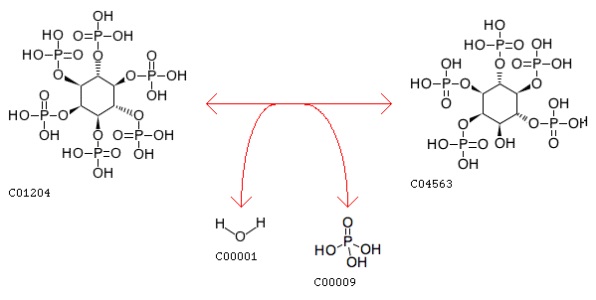 KEGG REACTION: R03371