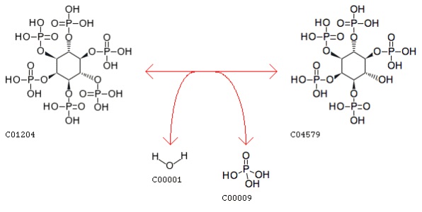 KEGG REACTION: R03372