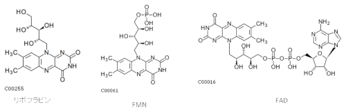リボフラビンの化学構造