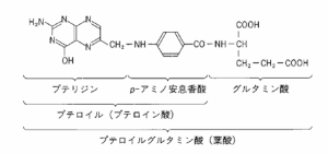 葉酸の化学構造